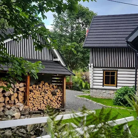 فندق مبيت وإفطار Borszowka Dom Nad Potokiem - 3*