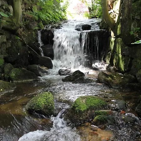 فندق مبيت وإفطار Borszowka Dom Nad Potokiem - 3*