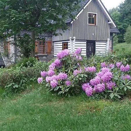 Borszowka Dom Nad Potokiem -