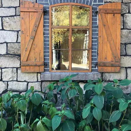 Borszowka Dom Nad Potokiem - ベッド・アンド・ブレックファスト 3*