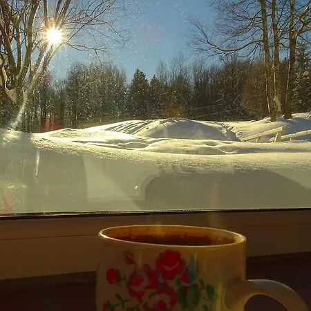 Borszowka Dom Nad Potokiem - ベッド・アンド・ブレックファスト シクラルスカ・ポレンバ