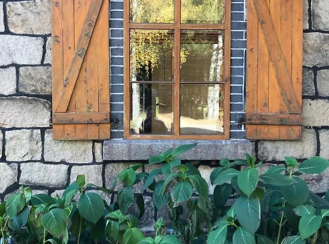 Borszowka Dom Nad Potokiem - Отель типа 