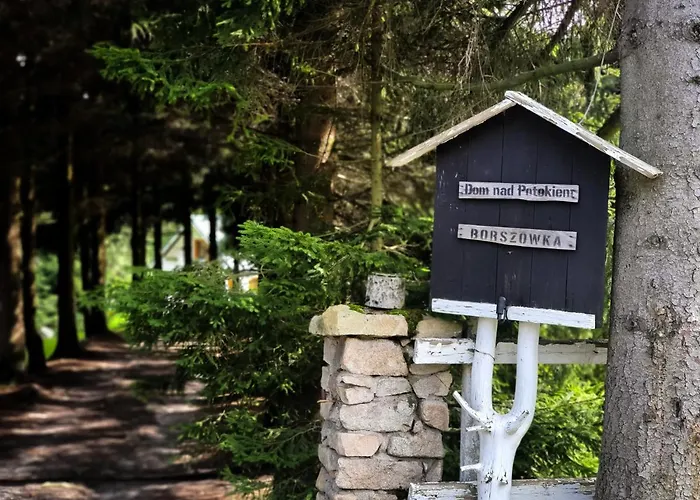 Borszowka Dom Nad Potokiem - Отель типа 