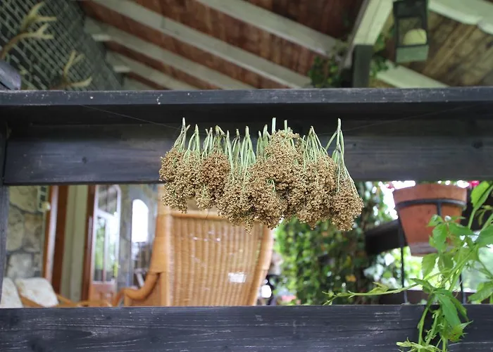 Borszowka Dom Nad Potokiem - Шклярска-Поремба