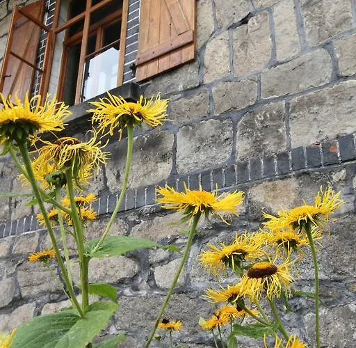Borszowka Dom Nad Potokiem - Отель типа 