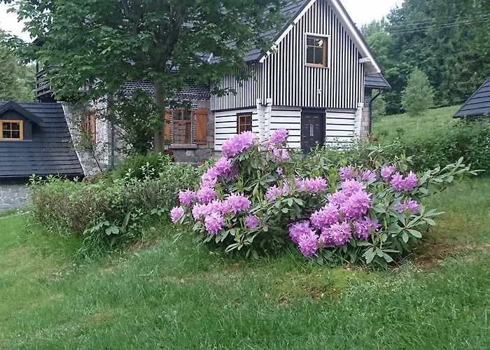 Borszowka Dom Nad Potokiem -